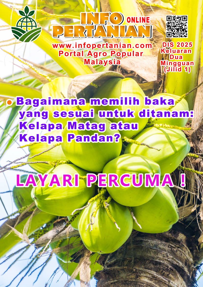You are currently viewing DIS 2025 KELUARAN DUA MINGGUAN (JILID 1)