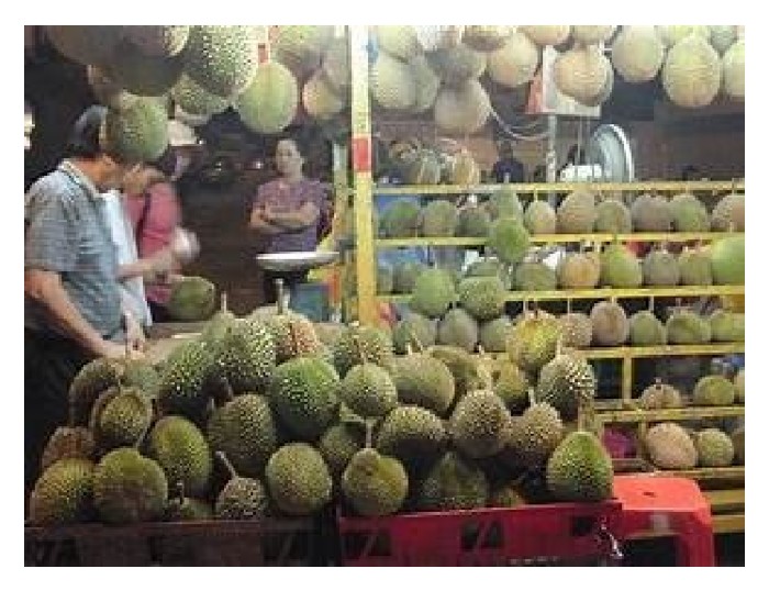 Read more about the article Landskap industri durian di Malaysia kini semakin jelas : Durian gred A, B untuk pasaran premium seperti China dan Hong Kong manakala gred C dan D untuk pasaran rakyat jelata dalam negara
