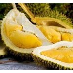 Nikmat Durian Akan Berterusan: Adakah “Kebebasan Durian” Sudah Tiba?