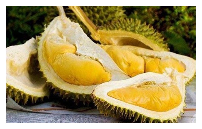 Read more about the article Nikmat Durian Akan Berterusan: Adakah “Kebebasan Durian” Sudah Tiba?