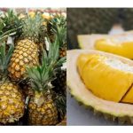 Model menanam secara campuran antara durian dan nanas menjamin pendapatan berbaloi