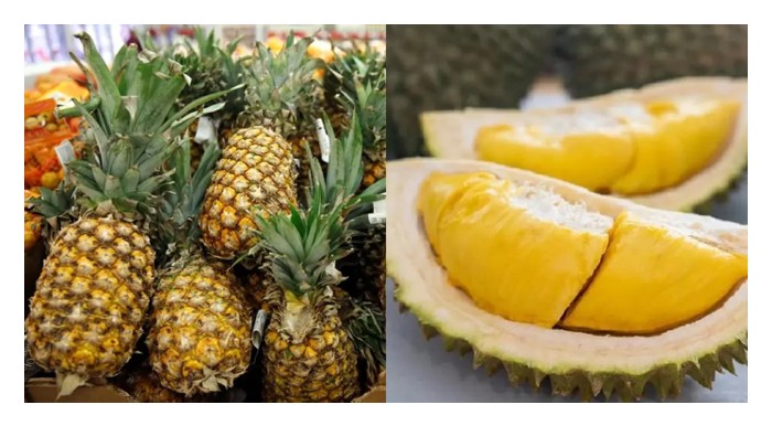Read more about the article Model menanam secara campuran antara durian dan nanas menjamin pendapatan berbaloi