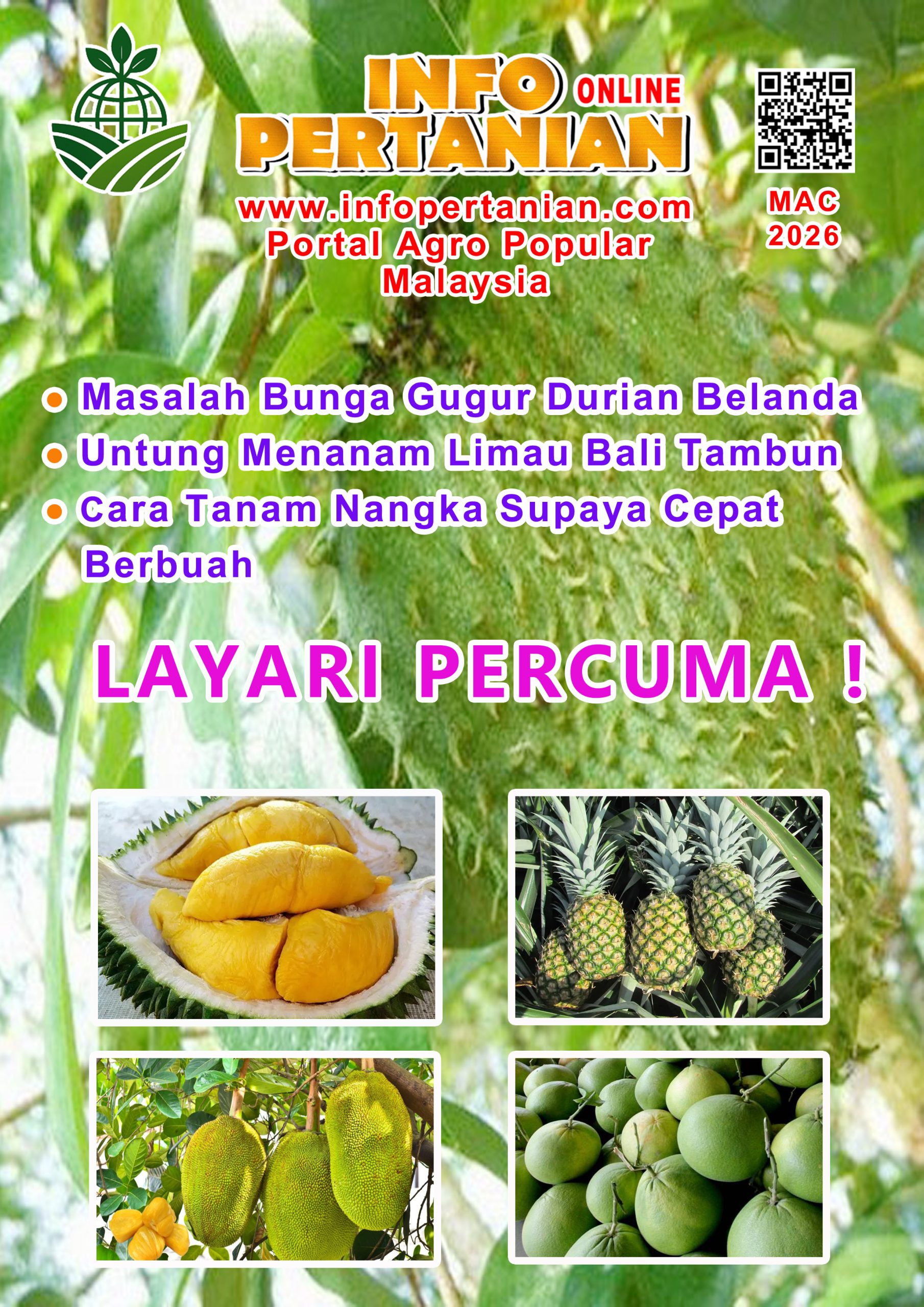 You are currently viewing MAC 2026