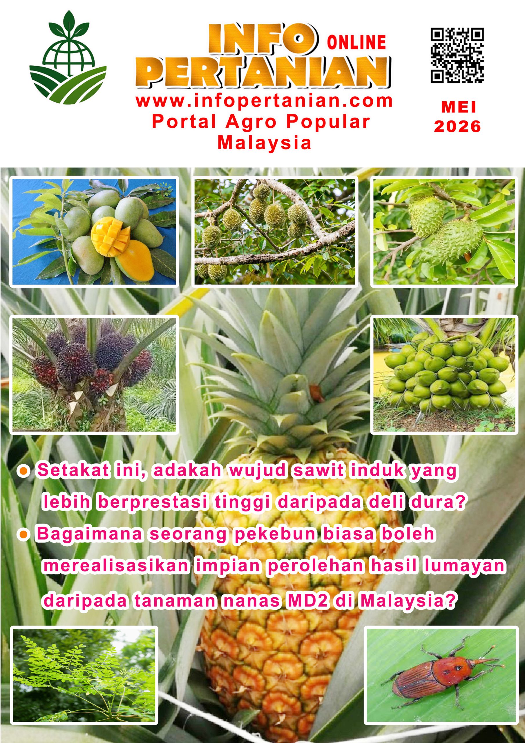 You are currently viewing MEI 2026