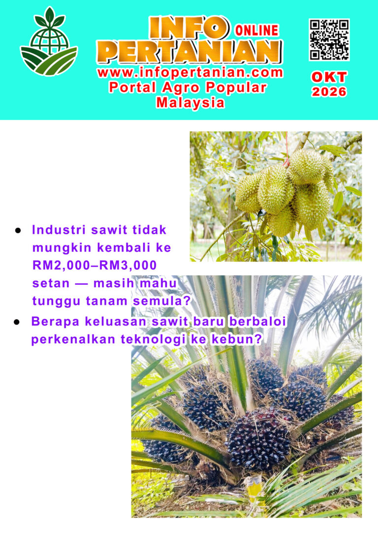 OKT 2026