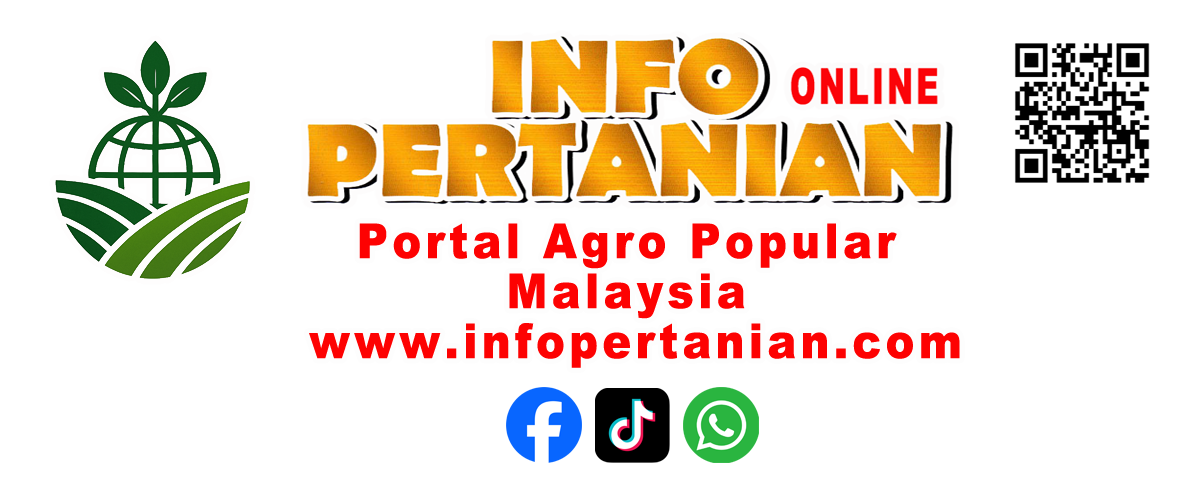 INFO PERTANIAN online